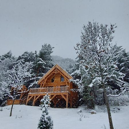 Chalet L'Empreinte Saint-Étienne-de-Tinée Dış mekan fotoğraf