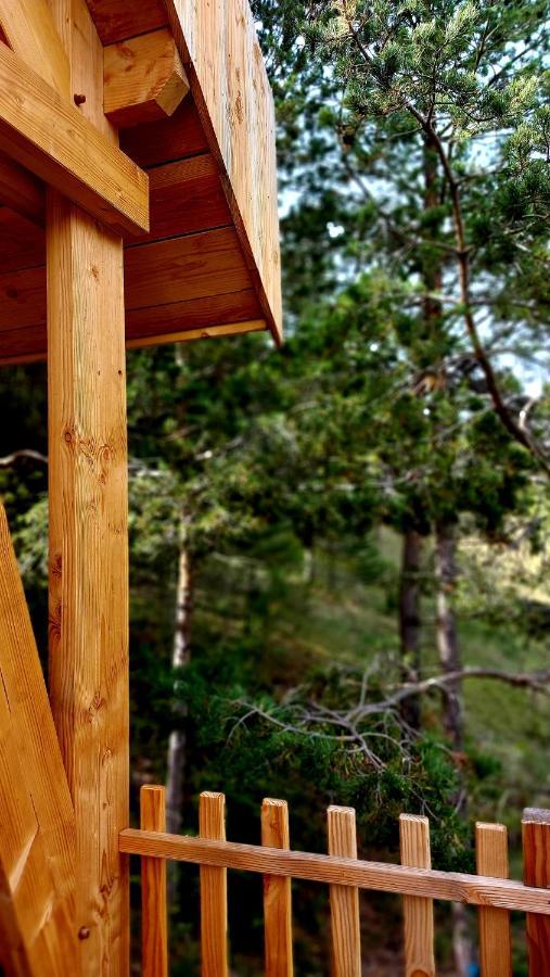 Chalet L'Empreinte Saint-Étienne-de-Tinée Dış mekan fotoğraf