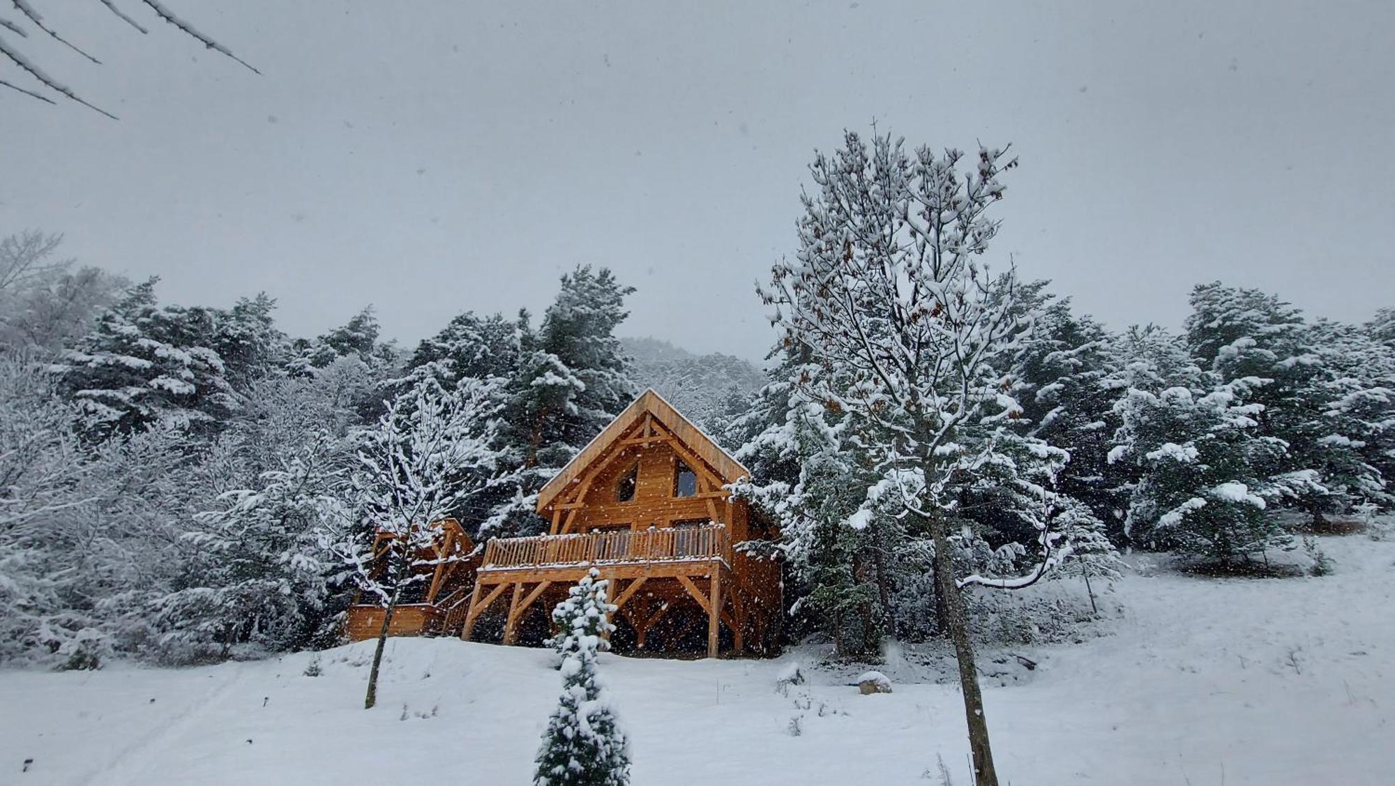 Chalet L'Empreinte Saint-Étienne-de-Tinée Dış mekan fotoğraf